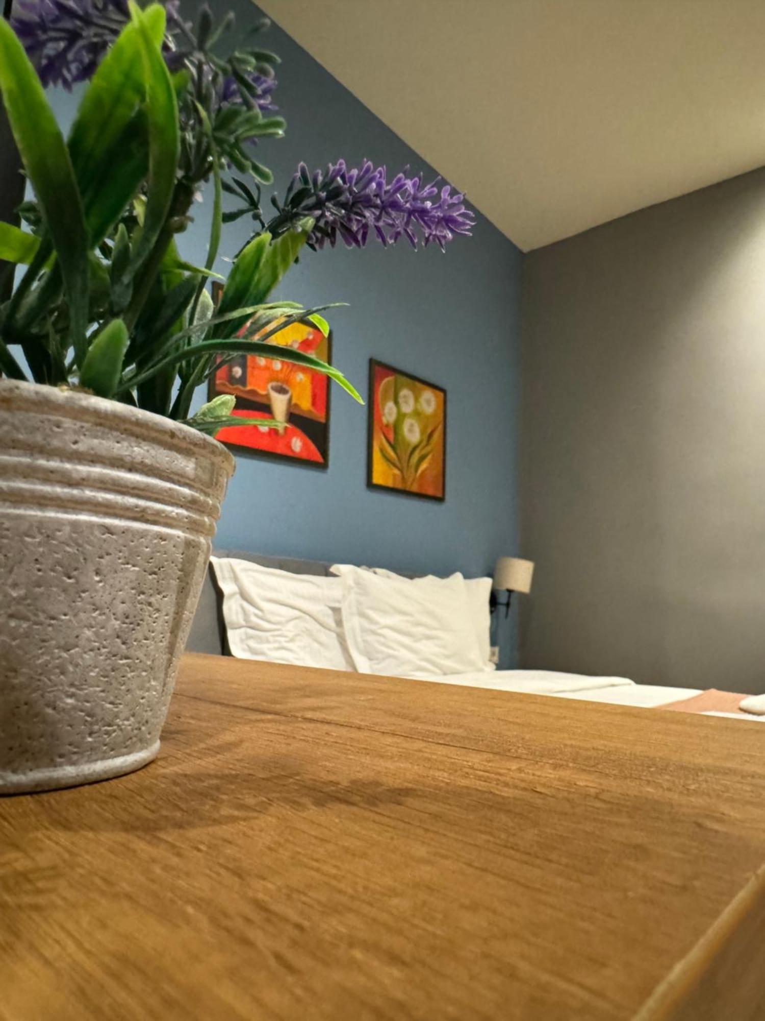 Hotel Tirona Tiran Dış mekan fotoğraf